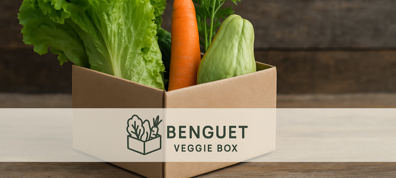 Benguet Vegetable Supplier