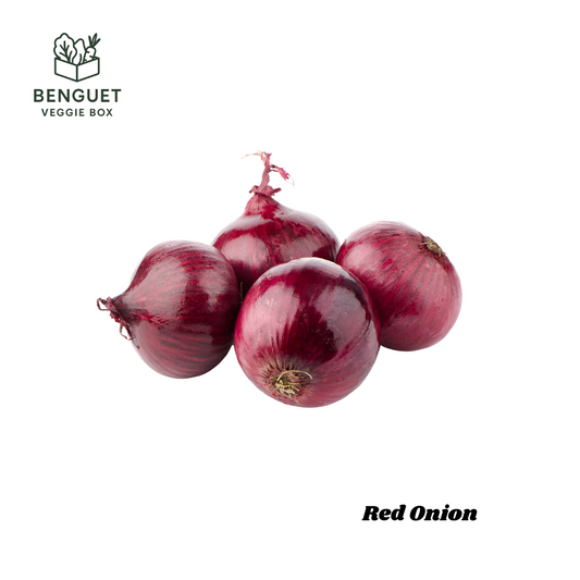 Freshly harvested red onions perfect for salads and grilling.