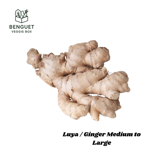 Whole ginger (luya) harvested from Benguet farms.