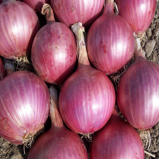 Whole and sliced red onions ready for cooking.