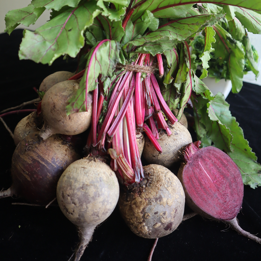 Benguet Sugar Beets (Beetroot) – Fresh Beetfruit for Juicing, Cooking, and Healthy Meals