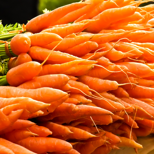 Freshly picked Benguet carrots perfect for salads and snacks.