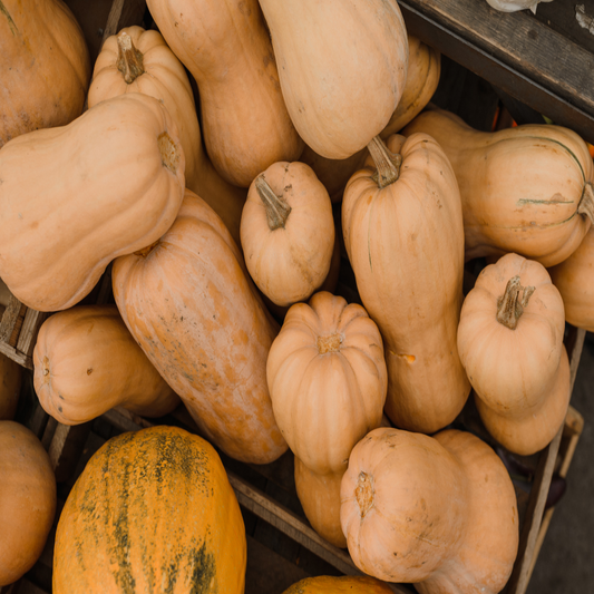 Whole and sliced butternut squash from Benguet farms.