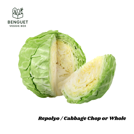 Fresh Benguet repolyo cabbage with bright green leaves.