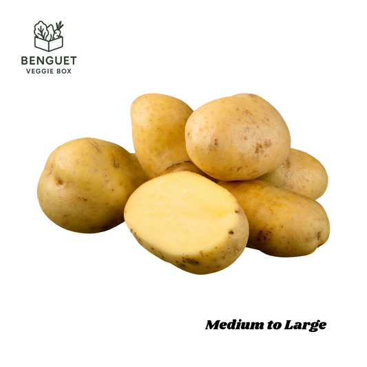 Close-up of organic Benguet potatoes inside a veggie box.