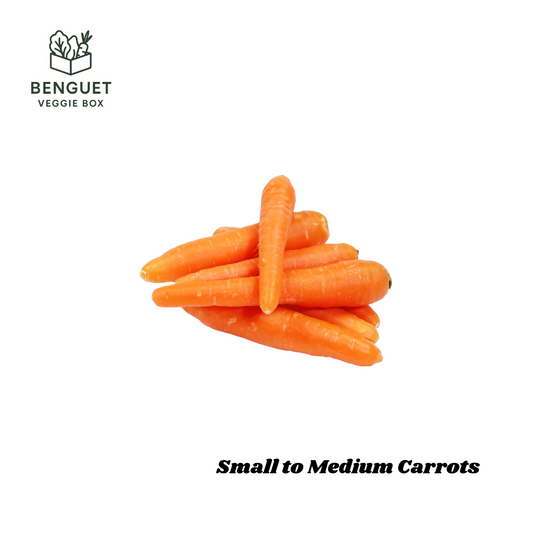 Fresh small to medium carrots from Benguet farms.